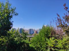 -南翠屏公园