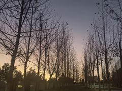 -云南大学滇池学院