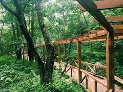 -大岭沟猕猴桃谷风景区