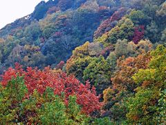 -白草畔自然风景区