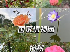-国家植物园
