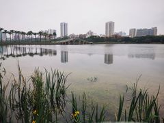 -南宁南湖公园