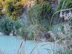 -上海吴淞炮台湾国家湿地公园