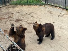 -大连森林动物园