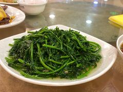 南瓜苗-揭阳钟记小食(福田新村店)