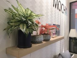 -MOCHA日式美甲·美睫