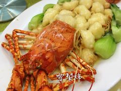 -汕头金乐大酒店