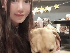 -百好乐宠物友好餐厅(朝外大街店)