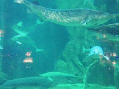 -华夏文旅海洋公园