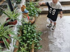 -美味之家·湖景农家乐(太湖东山店)