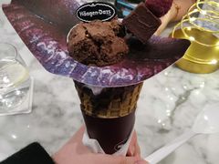 -哈根达斯(武汉天地店)