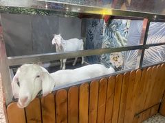 -上海大自然野生昆虫馆(东方明珠·爬宠昆虫探索中心)