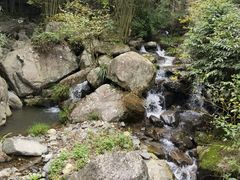 -藏龙百瀑风景区