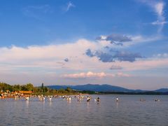 -呈贡滇池生态湿地公园