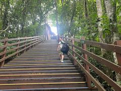 -野象谷景区