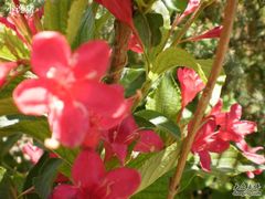 -柳沟豆腐宴义豆堂24号农家院