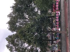 -咸宁万豪温泉谷度假区