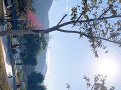 -白石龙音乐公园