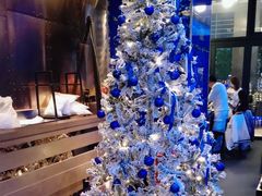 -bluefrog蓝蛙(皇庭广场店)