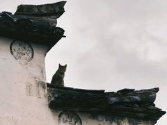 -崇仁古镇