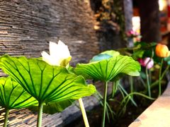 -粥满堂养生餐厅(学苑路店)