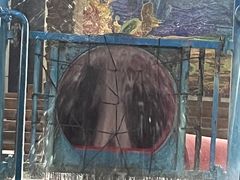 -南宫温泉水世界