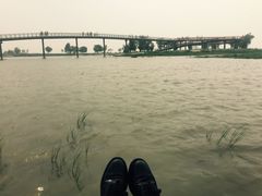 -卧龙湖