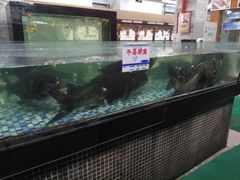 -森谷美食公园(杨行店)
