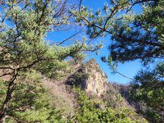 -王顺山国家森林公园
