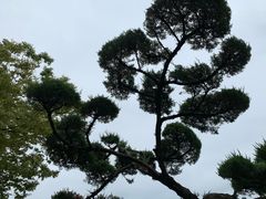 -景福宫
