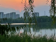 -河北省园博园
