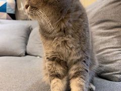 -溢仙茶(中防万宝城店)