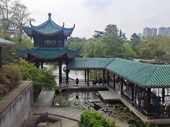 -桂湖森林公园