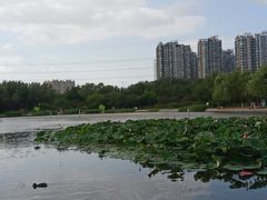 -太阳宫公园