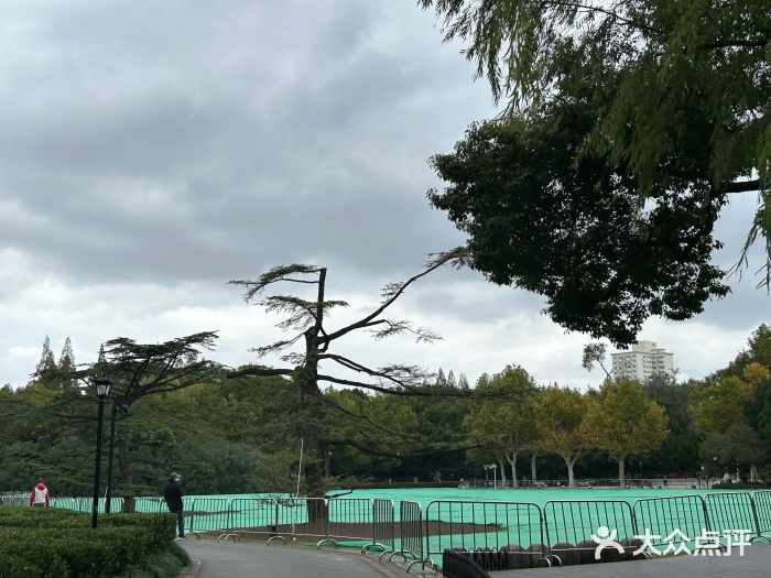 中山公园图片