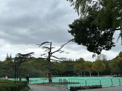 -中山公园