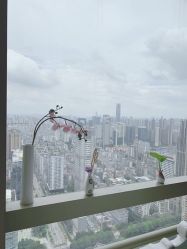 -久匠·纹眉半永久野生眉