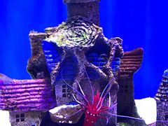 -招商银行(上海周浦支行)