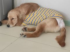 -怪兽屋·羊驼·猫咖·狗咖(俊华广场店)