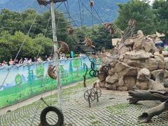 -西安秦岭野生动物园