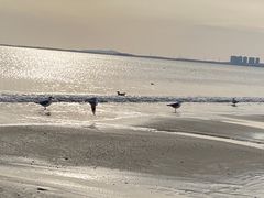 -银滩滨海旅游度假区