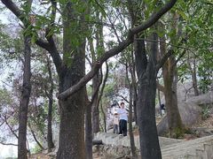 -火炉山森林公园