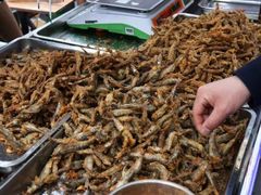 -五一星光夜市(SOHO新天地店)