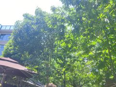 -张鸟园农家乐(张鸟园店)