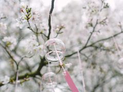 -杭州少年儿童公园
