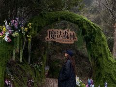 -龙湾潭国家森林公园