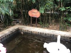 -龙达温泉生态城