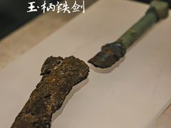 -河南博物院