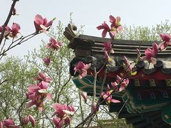 -西海子公园
