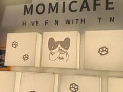 -猫的天空之城概念书店(大学路店)